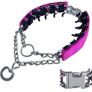 Prong Collar